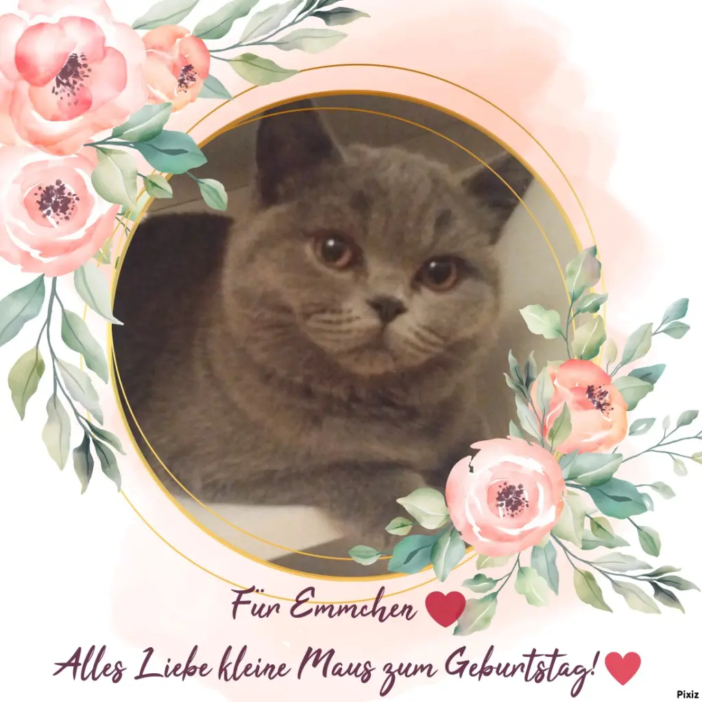 Andachtsbild von Für Dich kleines Geburtstagssternchen ❤️