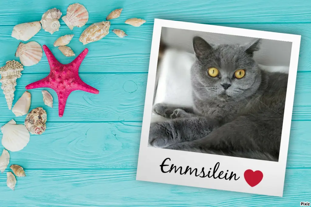 Andachtsbild von Tanja mit Timmy im Herzen 