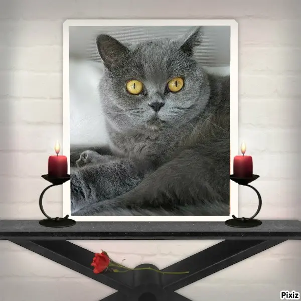 Andachtsbild von Tanja mit Timmy im Herzen 