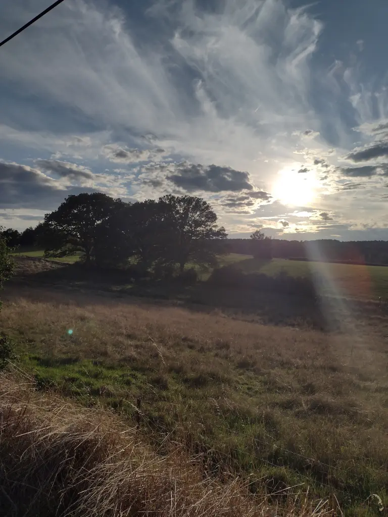 Andachtsbild von Corinna mit Emma, Pummelchen und anderen Sternlein im ❤️