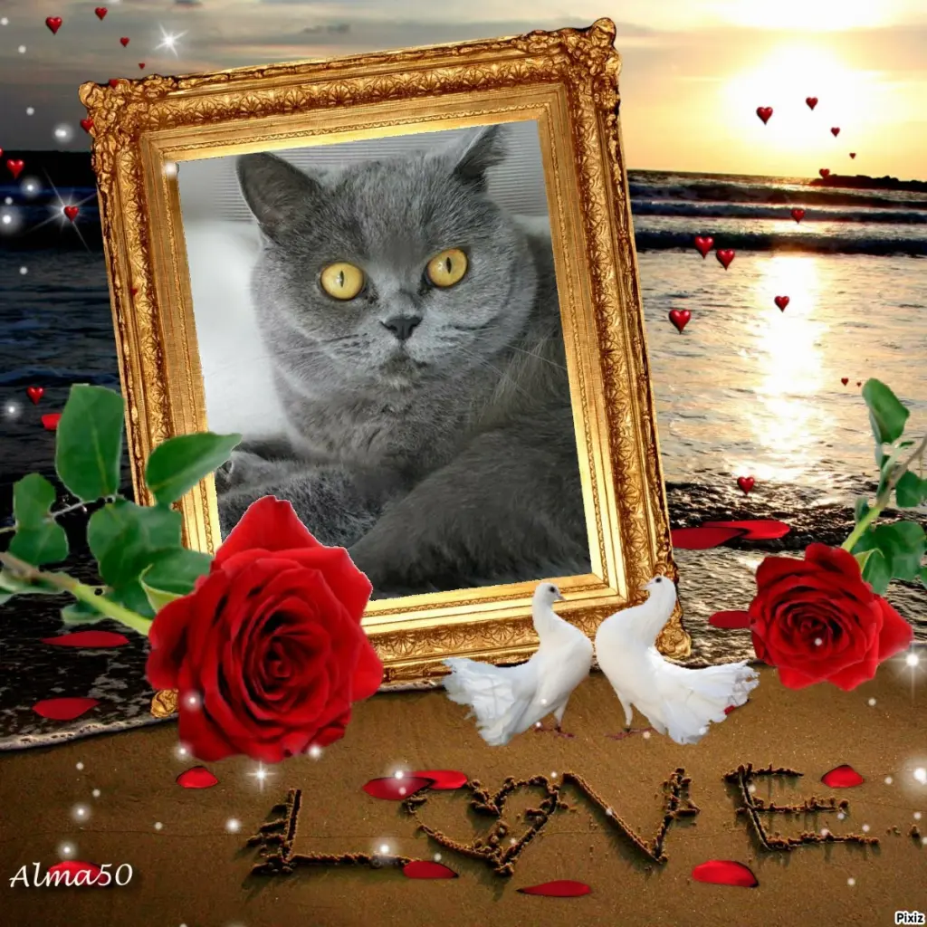 Andachtsbild von Tanja mit Timmy im Herzen 