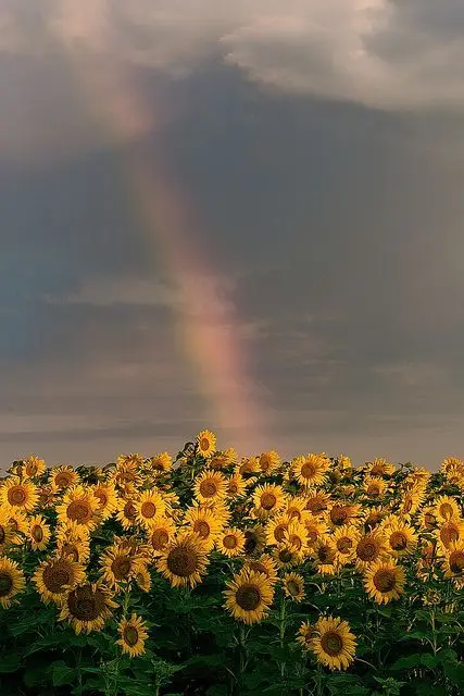 Andachtsbild von Für Dich Emmchen ♥️