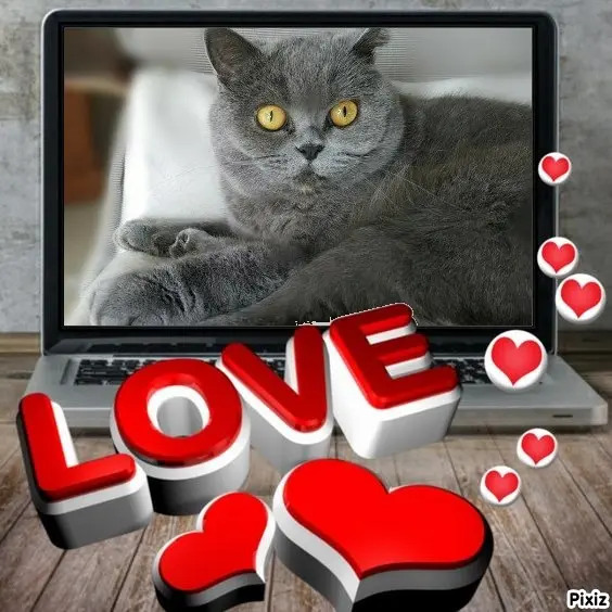 Andachtsbild von Tanja mit Timmy im Herzen 