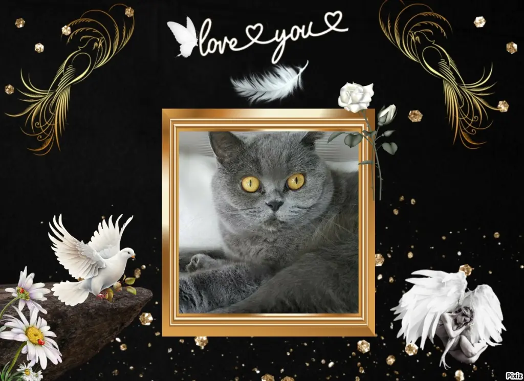 Andachtsbild von Tanja mit Timmy im Herzen 