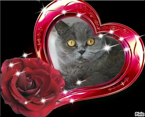 Andachtsbild von Tanja mit Timmy im Herzen 