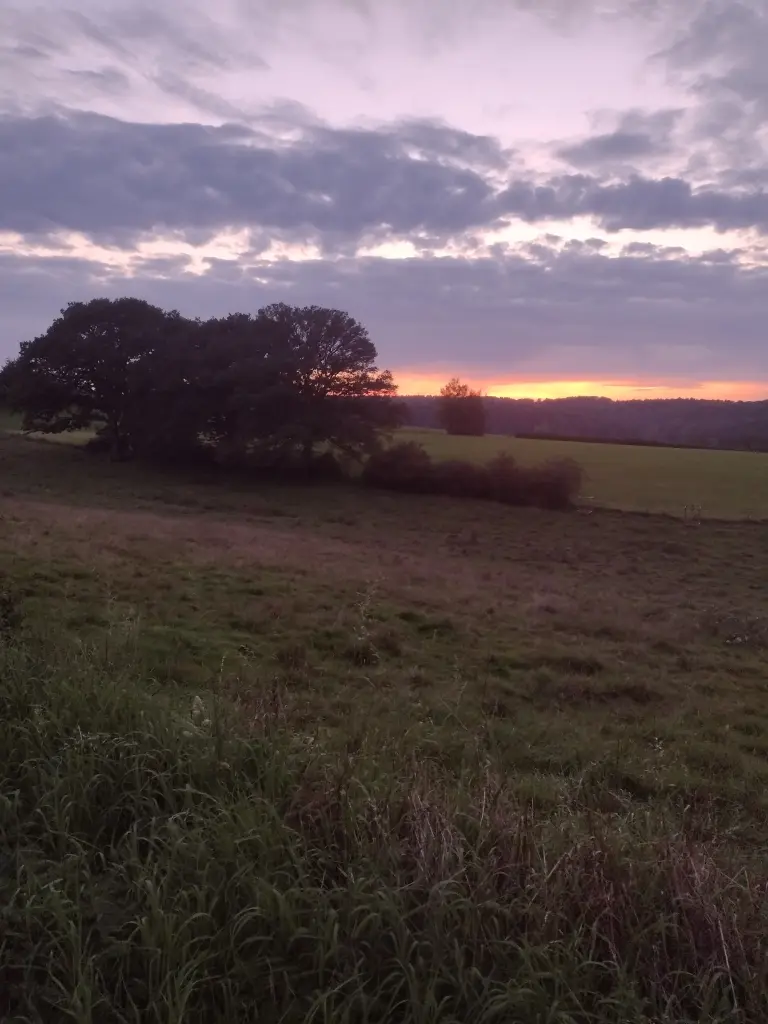 Andachtsbild von Corinna mit Emma, Pummelchen und anderen Sternlein im ❤️