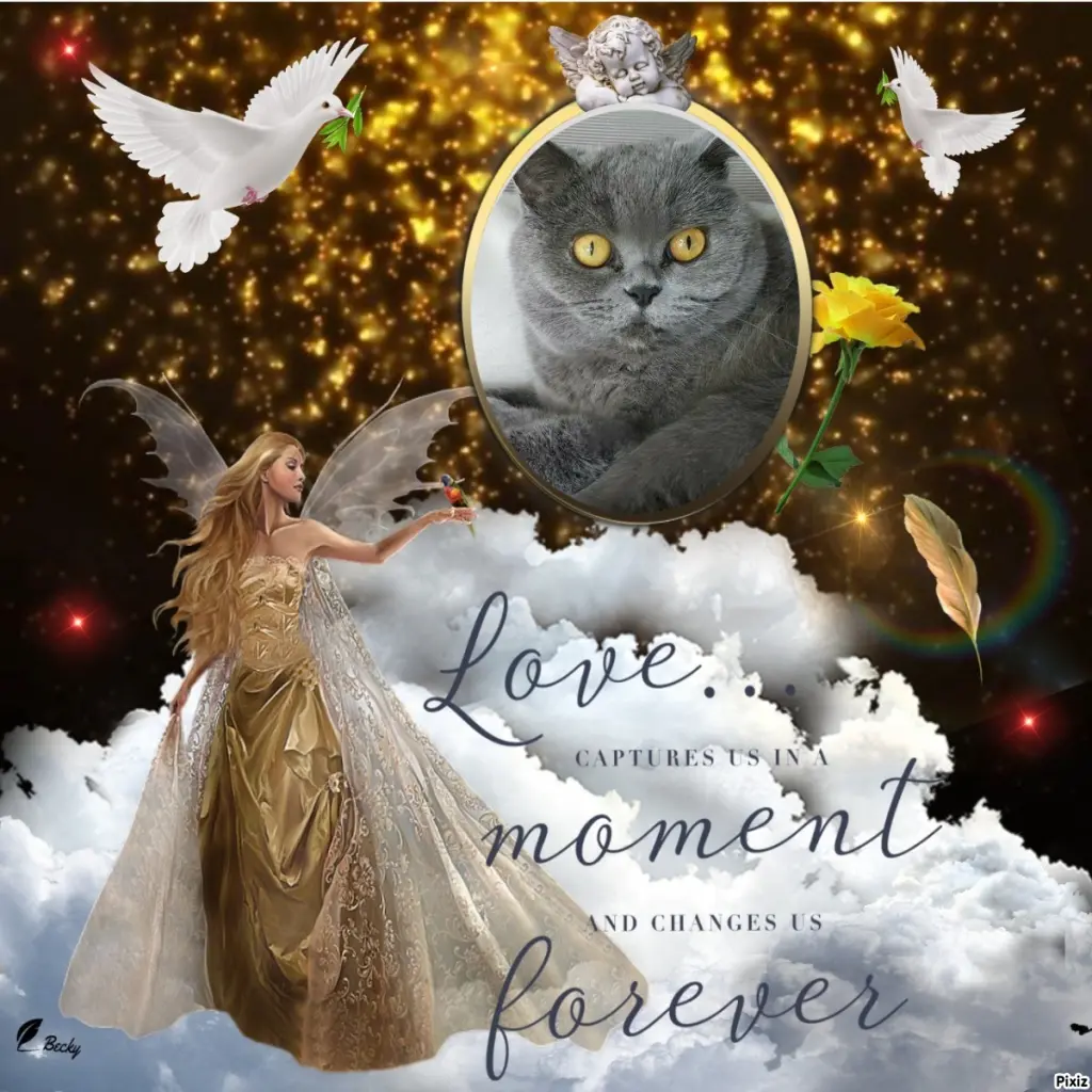 Andachtsbild von Tanja mit Timmy im Herzen 