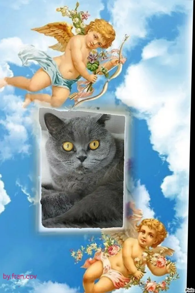 Andachtsbild von Tanja mit Timmy im Herzen 