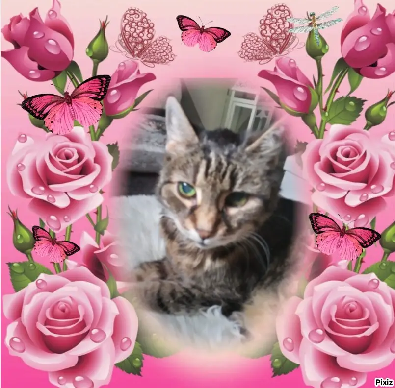 Andachtsbild von Für Dich Emmilein ❤️