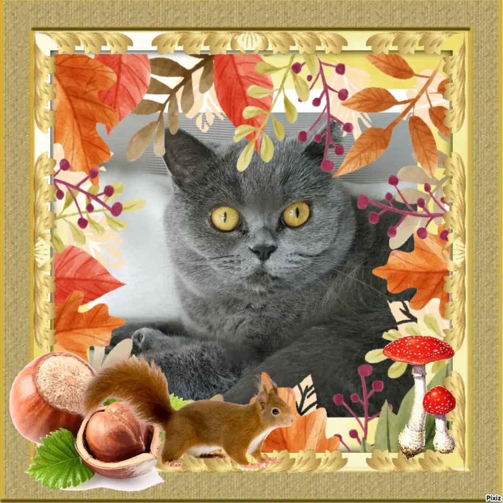 Andachtsbild von Tanja mit Timmy im Herzen 