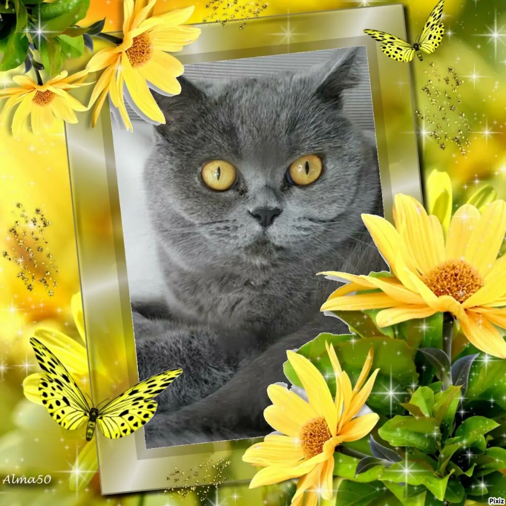 Andachtsbild von Tanja mit Timmy im Herzen 