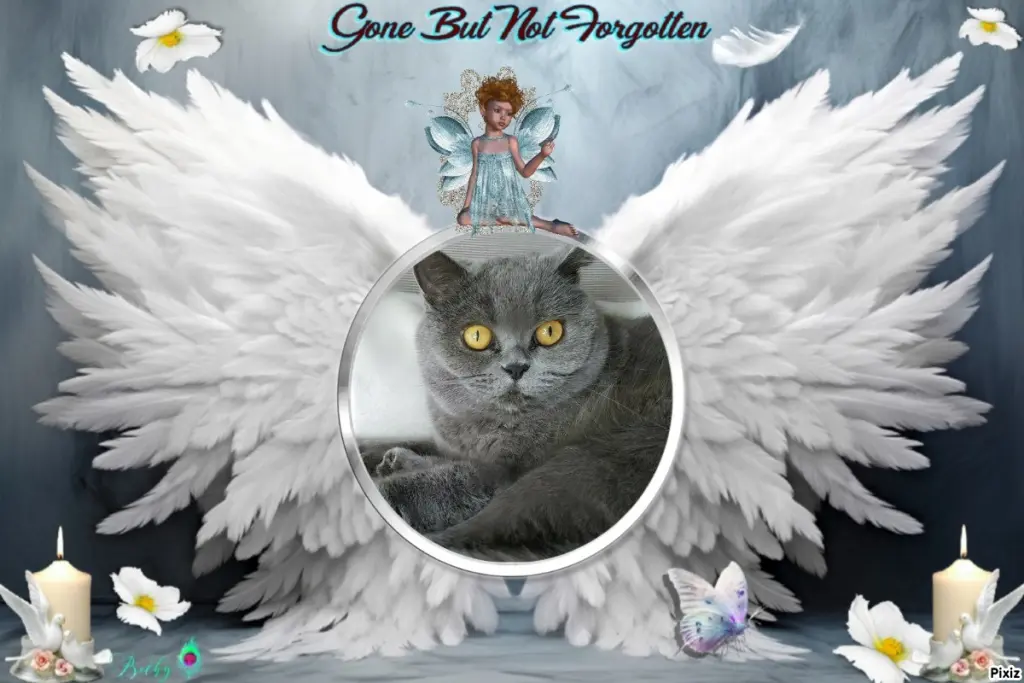 Andachtsbild von Tanja mit Timmy im Herzen 