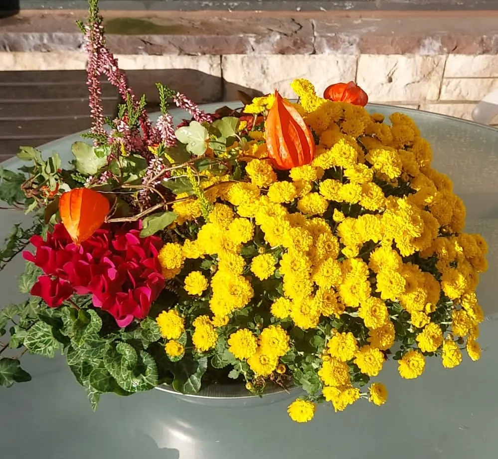 Andachtsbild von Corinna mit Emma, Pummelchen und anderen Sternlein im ❤️