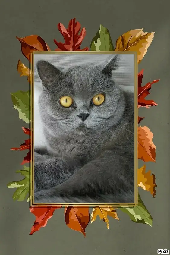 Andachtsbild von Tanja mit Timmy im Herzen 