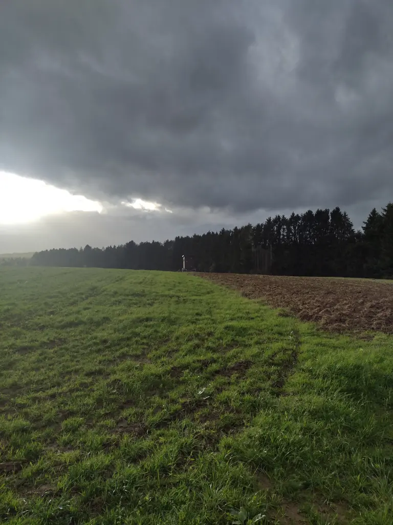 Andachtsbild von Corinna mit Emma, Pummelchen und anderen Sternlein im ❤️