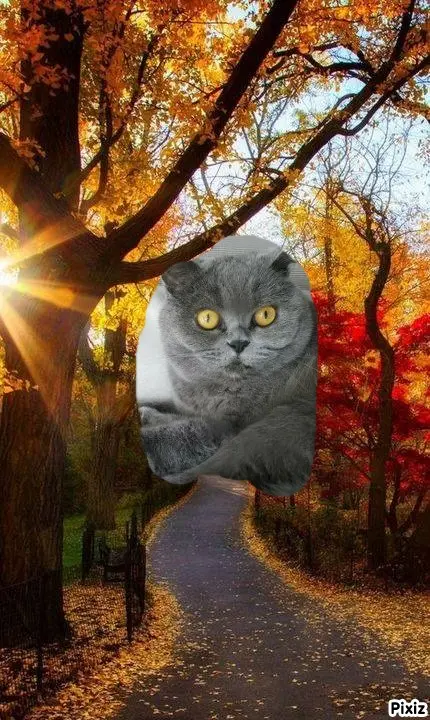 Andachtsbild von Tanja mit Timmy im Herzen 