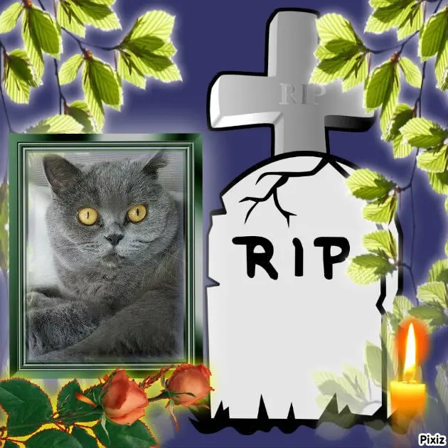 Andachtsbild von Tanja mit Timmy im Herzen 