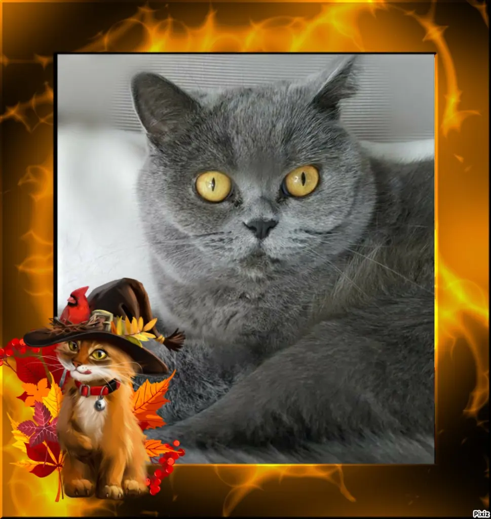 Andachtsbild von Tanja mit Timmy im Herzen 