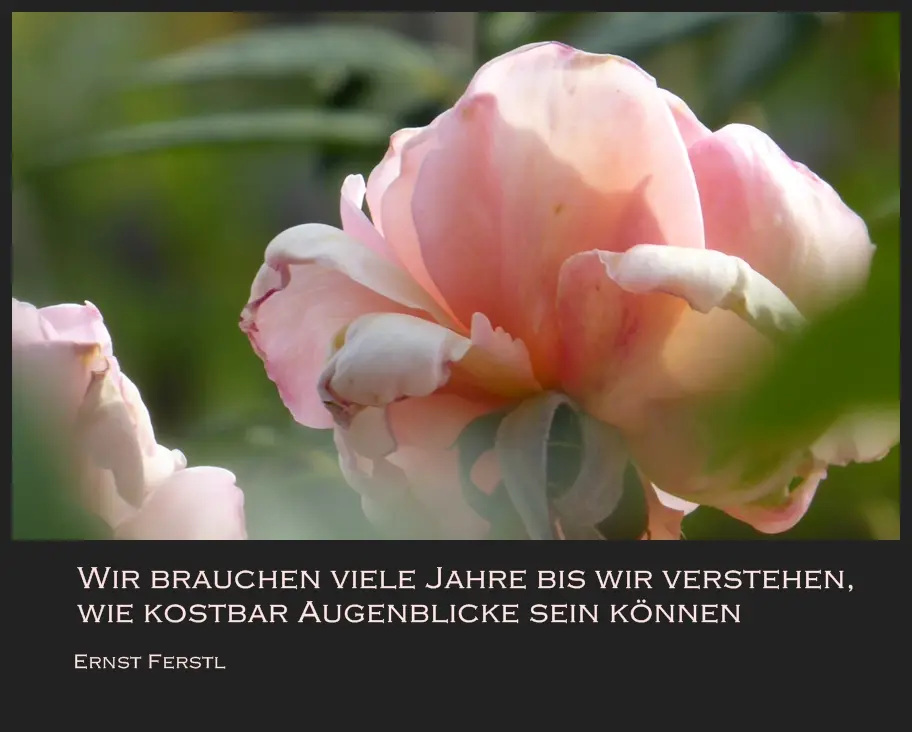 Andachtsbild von Für Emmilein ❤️ und Mama Sonja