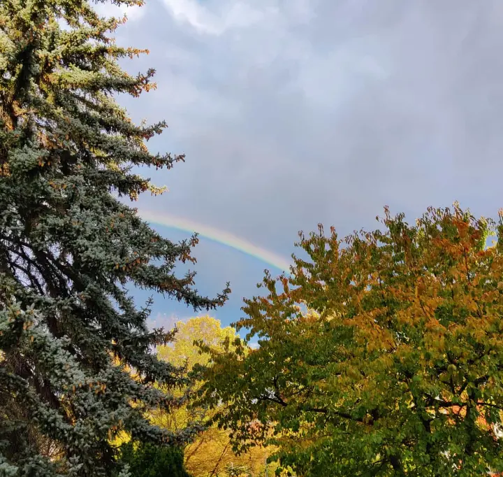Andachtsbild von Corinna mit Emma, Pummelchen und anderen Sternlein im ❤️