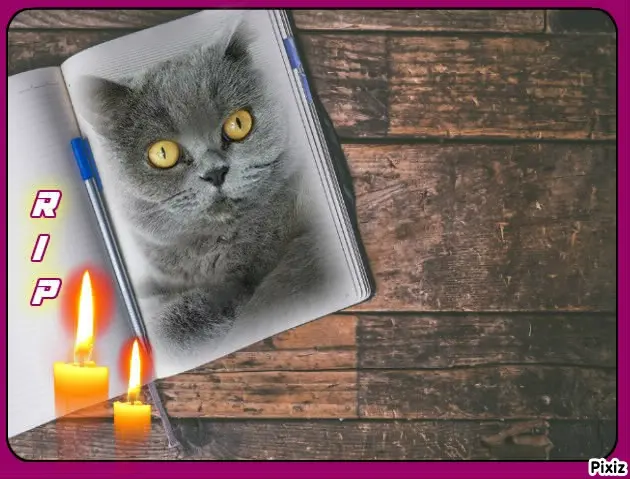 Andachtsbild von Tanja mit Timmy im Herzen 