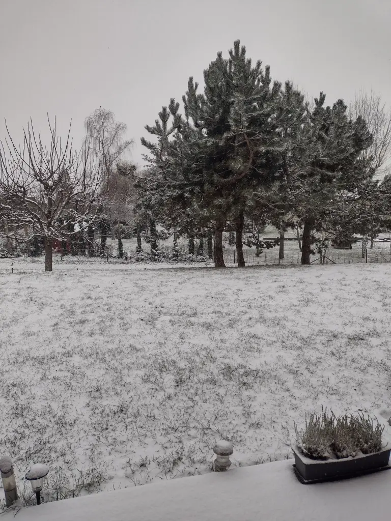 Andachtsbild von Corinna mit Emma, Jengi, Pummelchen und anderen Sternleine im Herzen