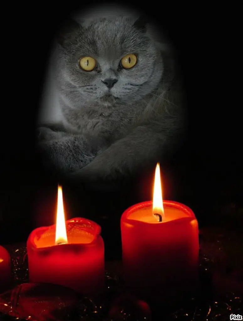 Andachtsbild von Tanja mit Timmy im Herzen 