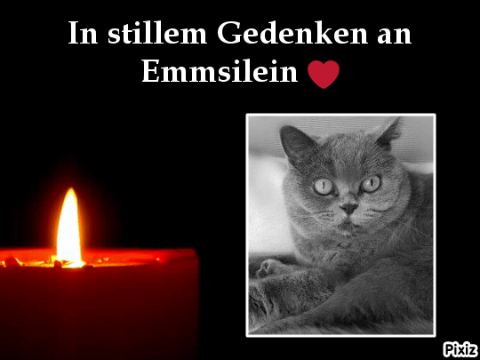 Andachtsbild von Tanja mit Timmy im Herzen 