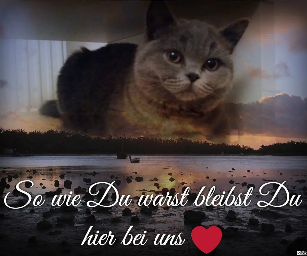 Andachtsbild von Für Dich kleiner Schatz Emmi ♥️