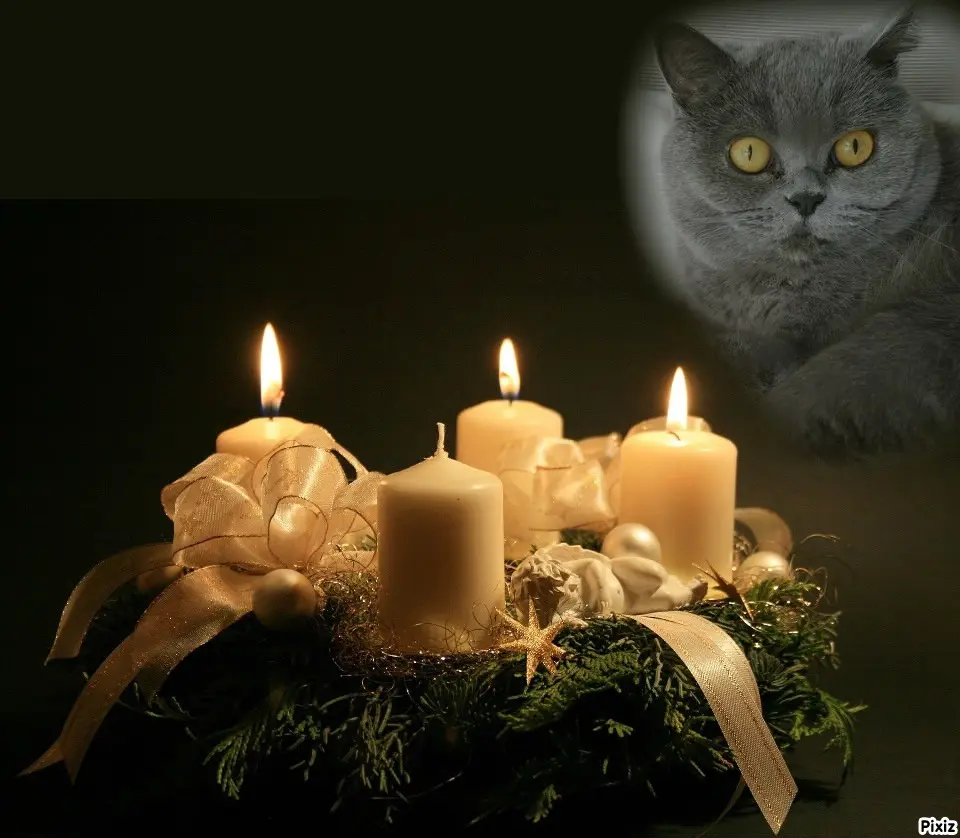 Andachtsbild von Tanja mit Timmy im Herzen 