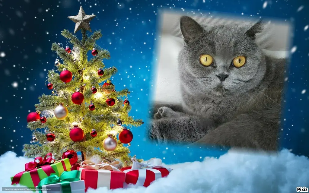 Andachtsbild von Tanja mit Timmy im Herzen 