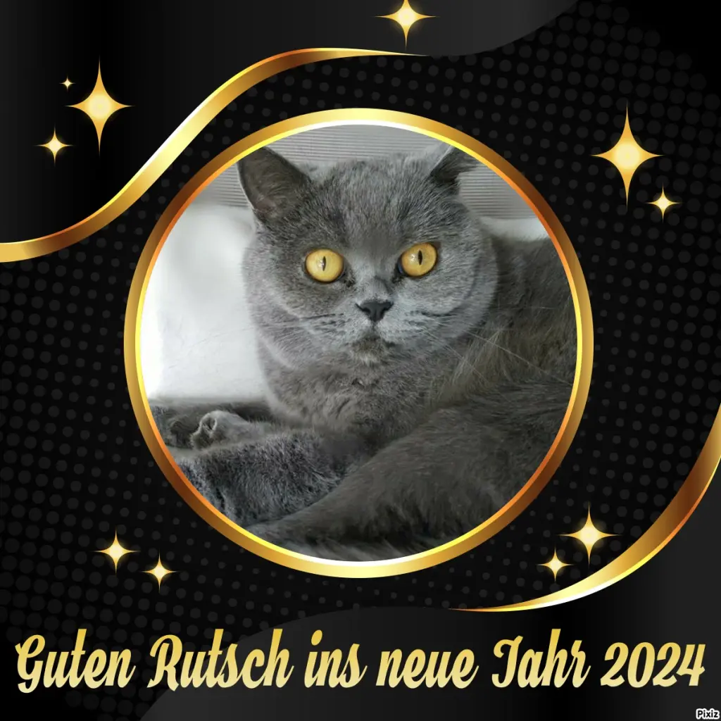 Andachtsbild von Tanja mit Timmy im Herzen 