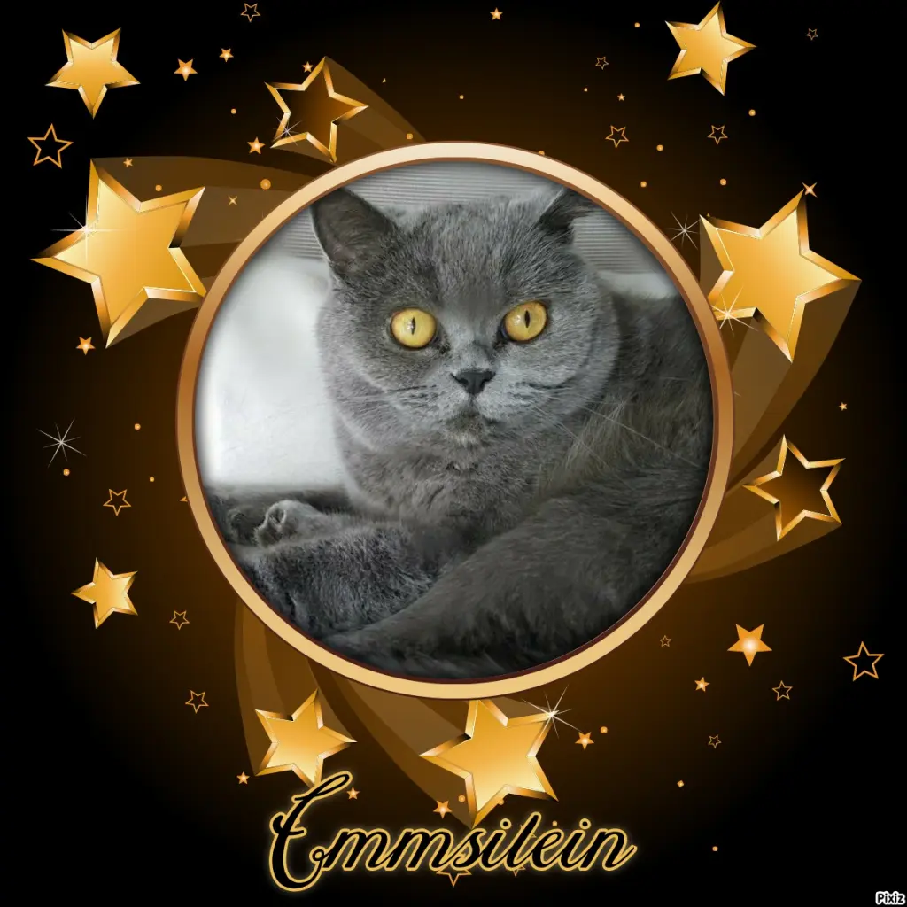 Andachtsbild von Tanja mit Timmy im Herzen 