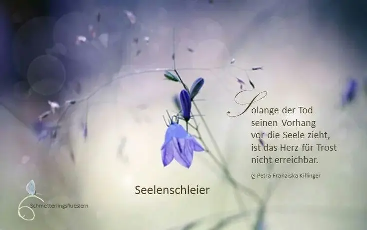 Andachtsbild von Daniela  an Emmchen Sternenprinzessin ❤️