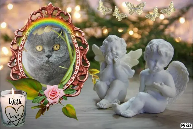 Andachtsbild von Tanja mit Timmy im Herzen 