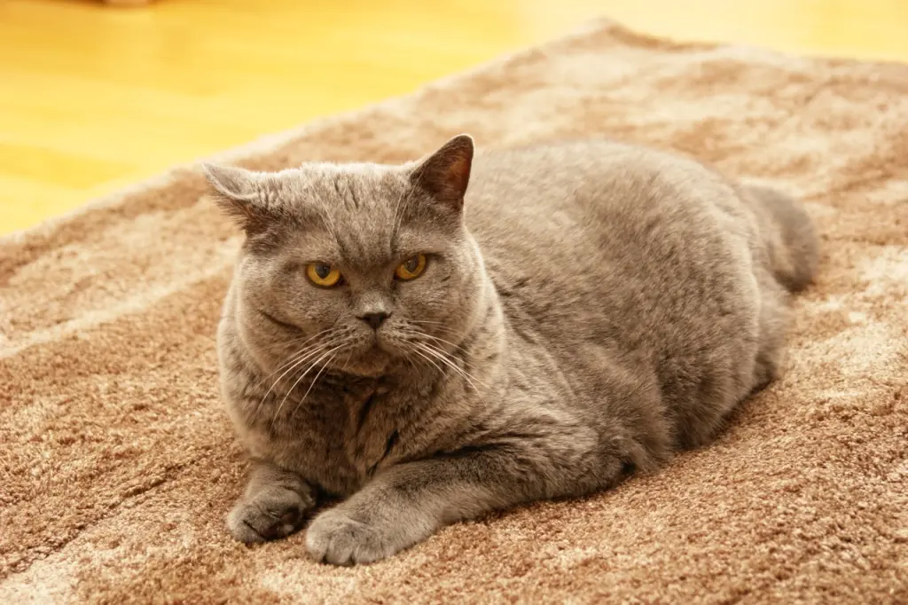 Andachtsbild von Für Emmi ❤️