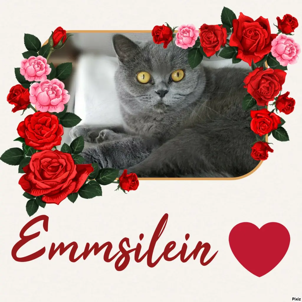 Andachtsbild von Tanja mit Timmy im Herzen 