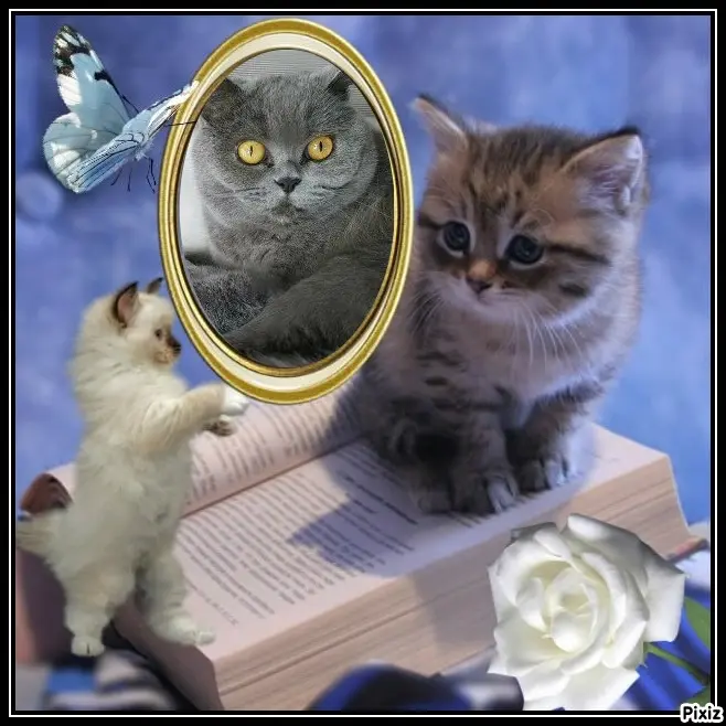 Andachtsbild von Tanja mit Timmy im Herzen 