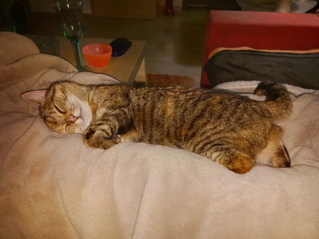 Andachtsbild von Daniela  an Emmsilein ❤️