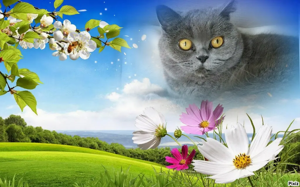 Andachtsbild von Tanja mit Timmy im Herzen 