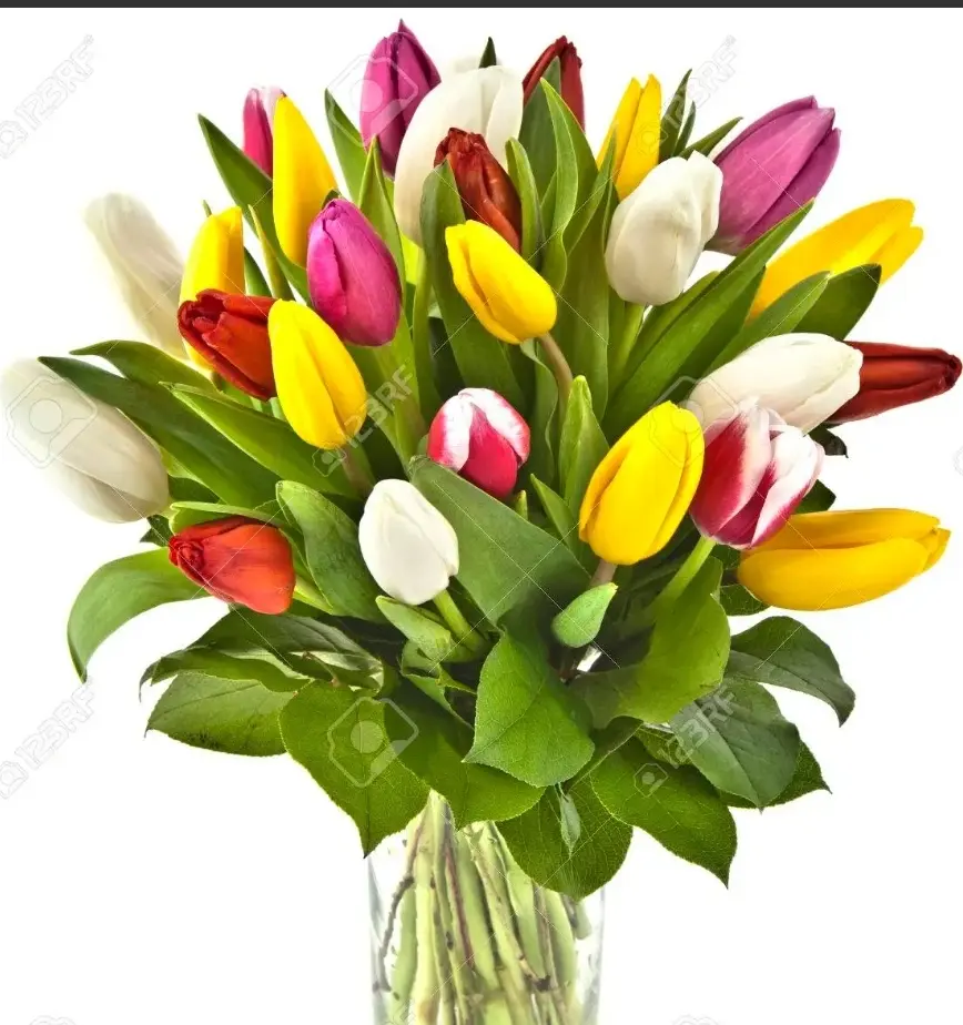 Andachtsbild von Daniela mit ganz viel Liebe für Emma im Herzen ❤️