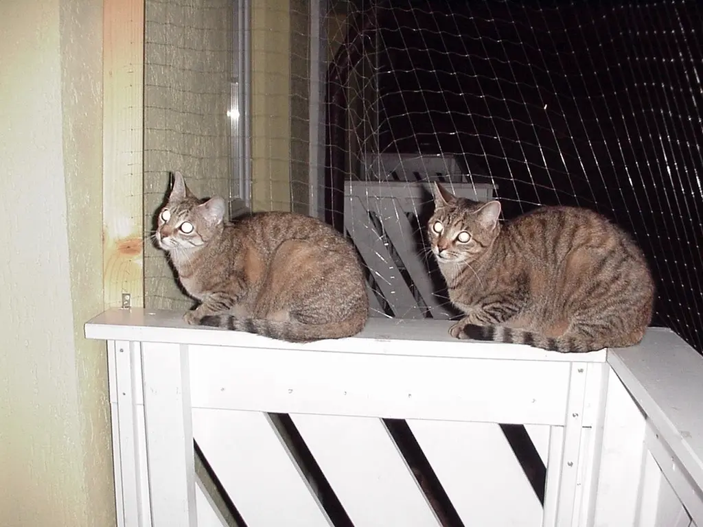 Andachtsbild von Marple und Christie 