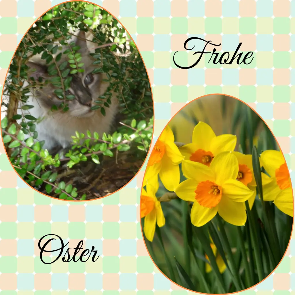 Andachtsbild von Corinna mit Emma, Jengi, Pummelchen und anderen Sternleine im Herzen