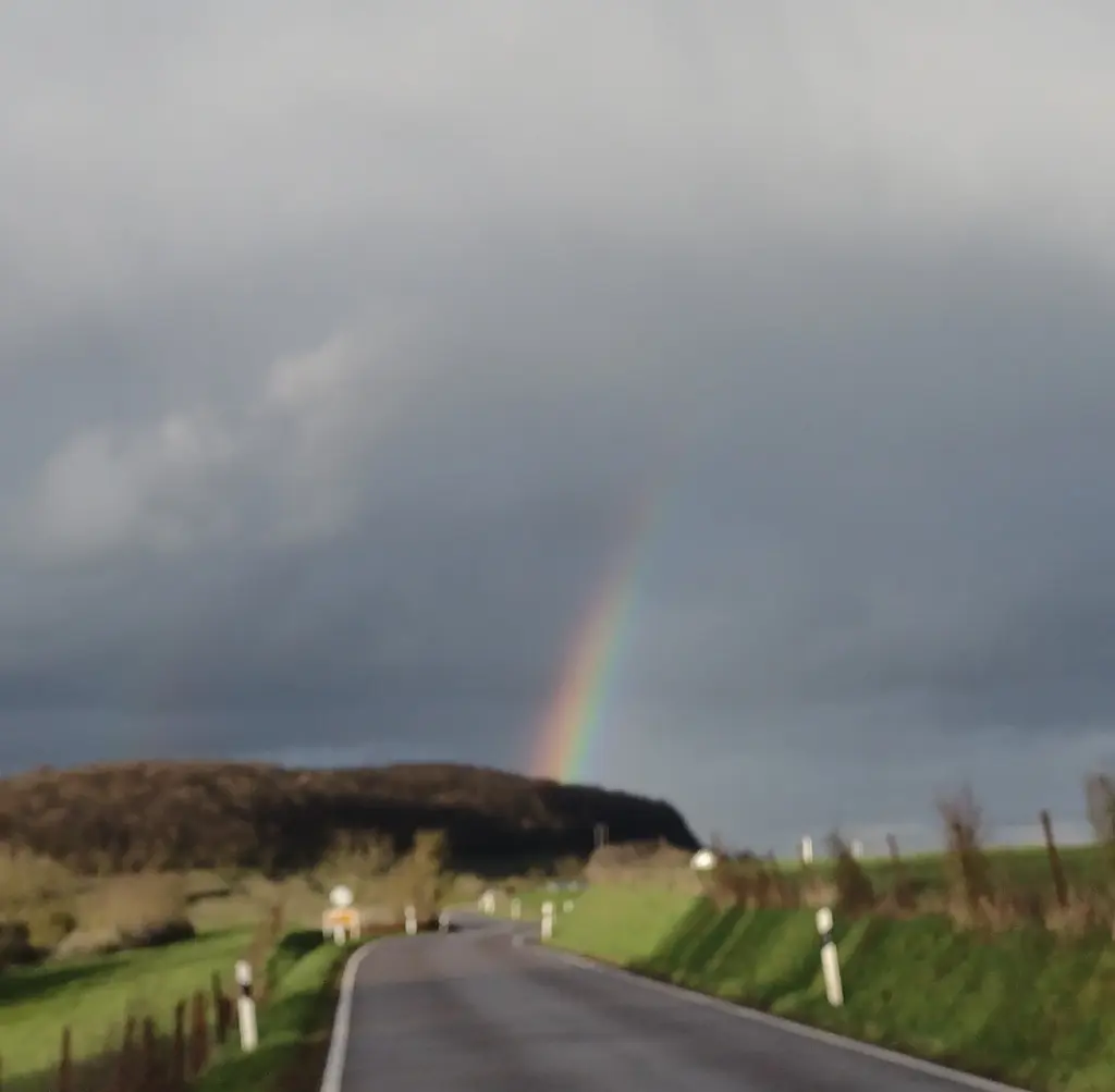 Andachtsbild von Corinna mit Emma, Jengi, Pummelchen und anderen Sternleine im Herzen