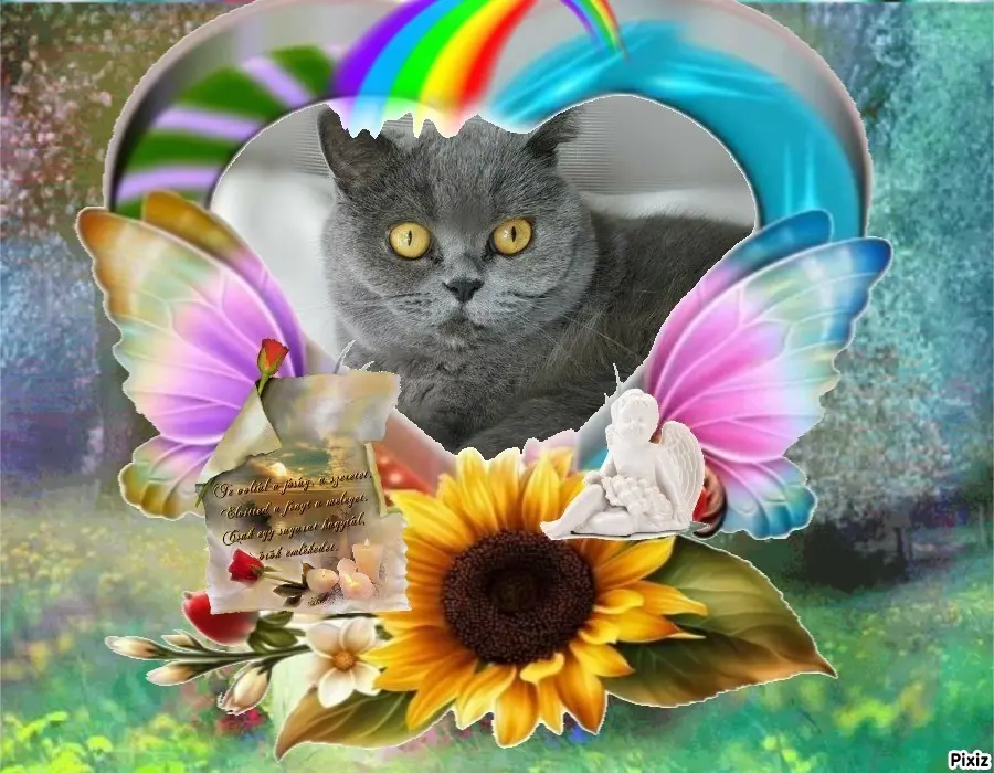 Andachtsbild von Tanja mit Timmy im Herzen 