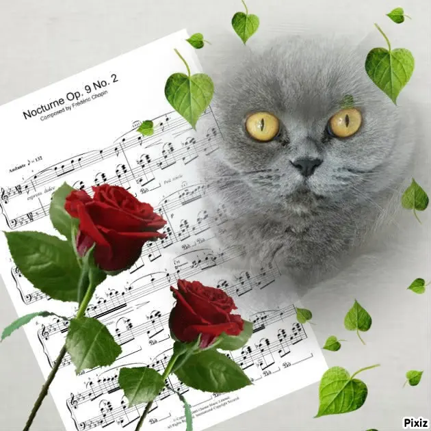 Andachtsbild von Tanja mit Timmy im Herzen 