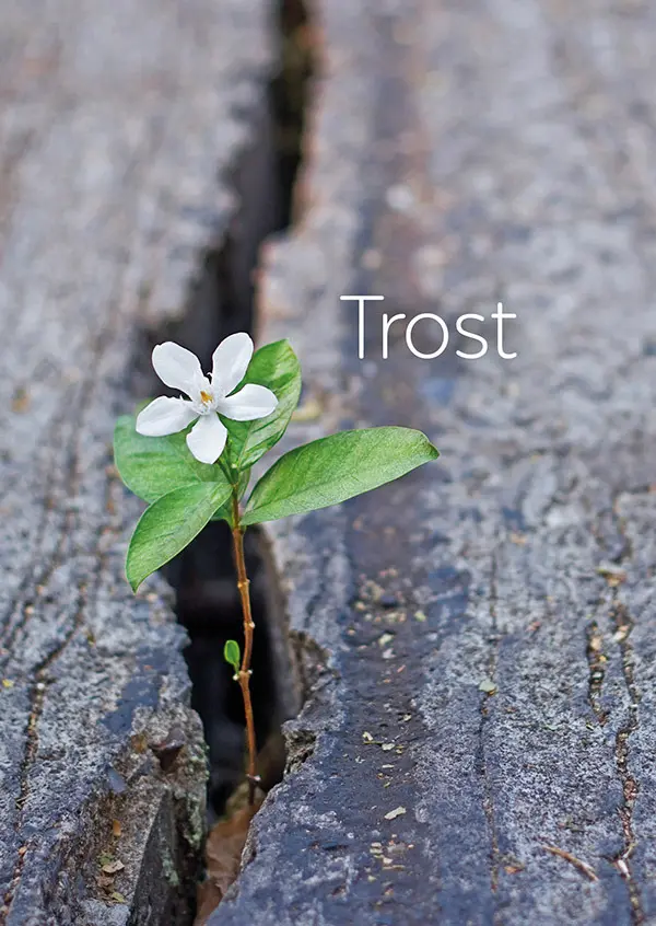 Andachtsbild von Für Emmilein ❤️ und Mama Sonja