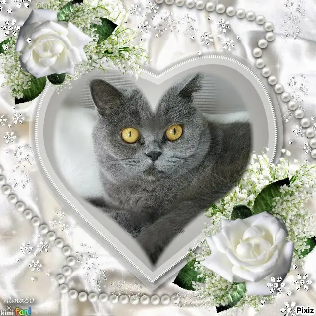 Andachtsbild von Tanja mit Timmy im Herzen 