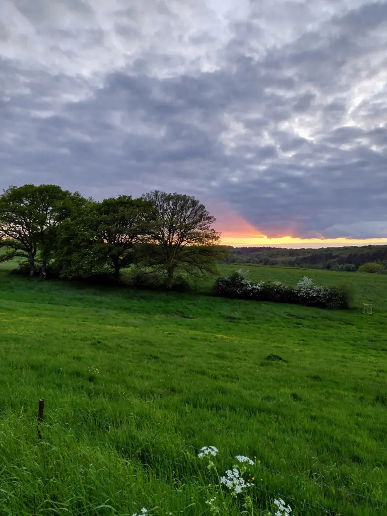 Andachtsbild von Corinna mit Emma, Jengi, Pummelchen und anderen Sternleine im Herzen