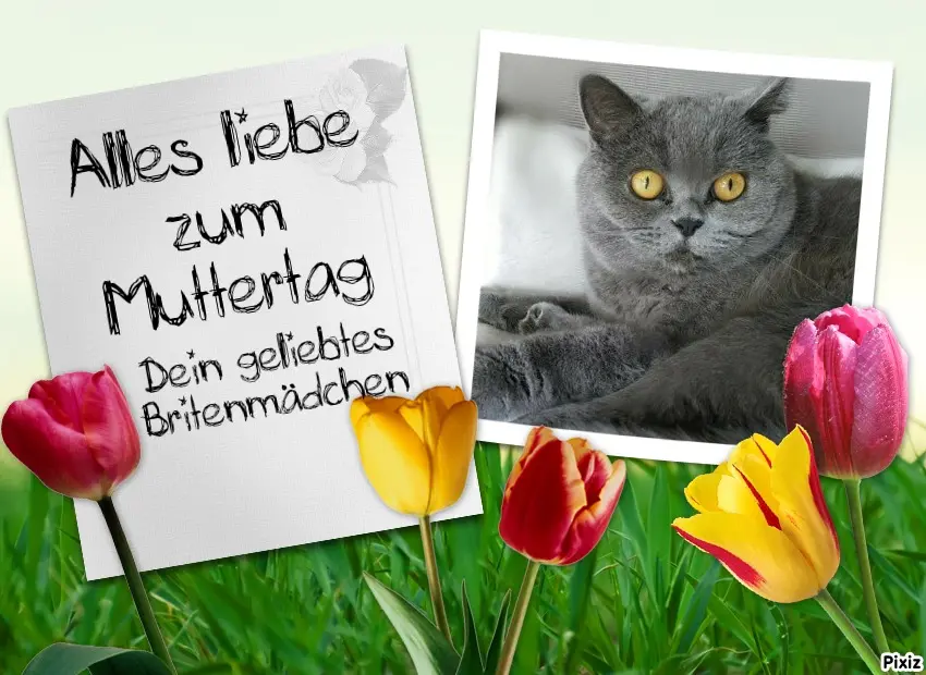 Andachtsbild von Tanja mit Timmy im Herzen 